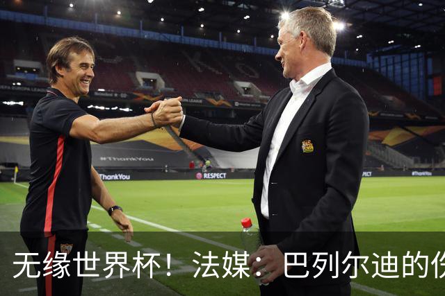 无缘世界杯！法媒：巴列尔迪的伤其实拖了好几个月，马赛评估失误